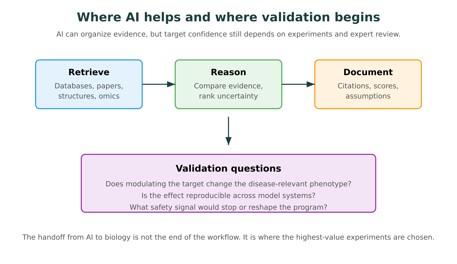 Where AI helps and where validation begins