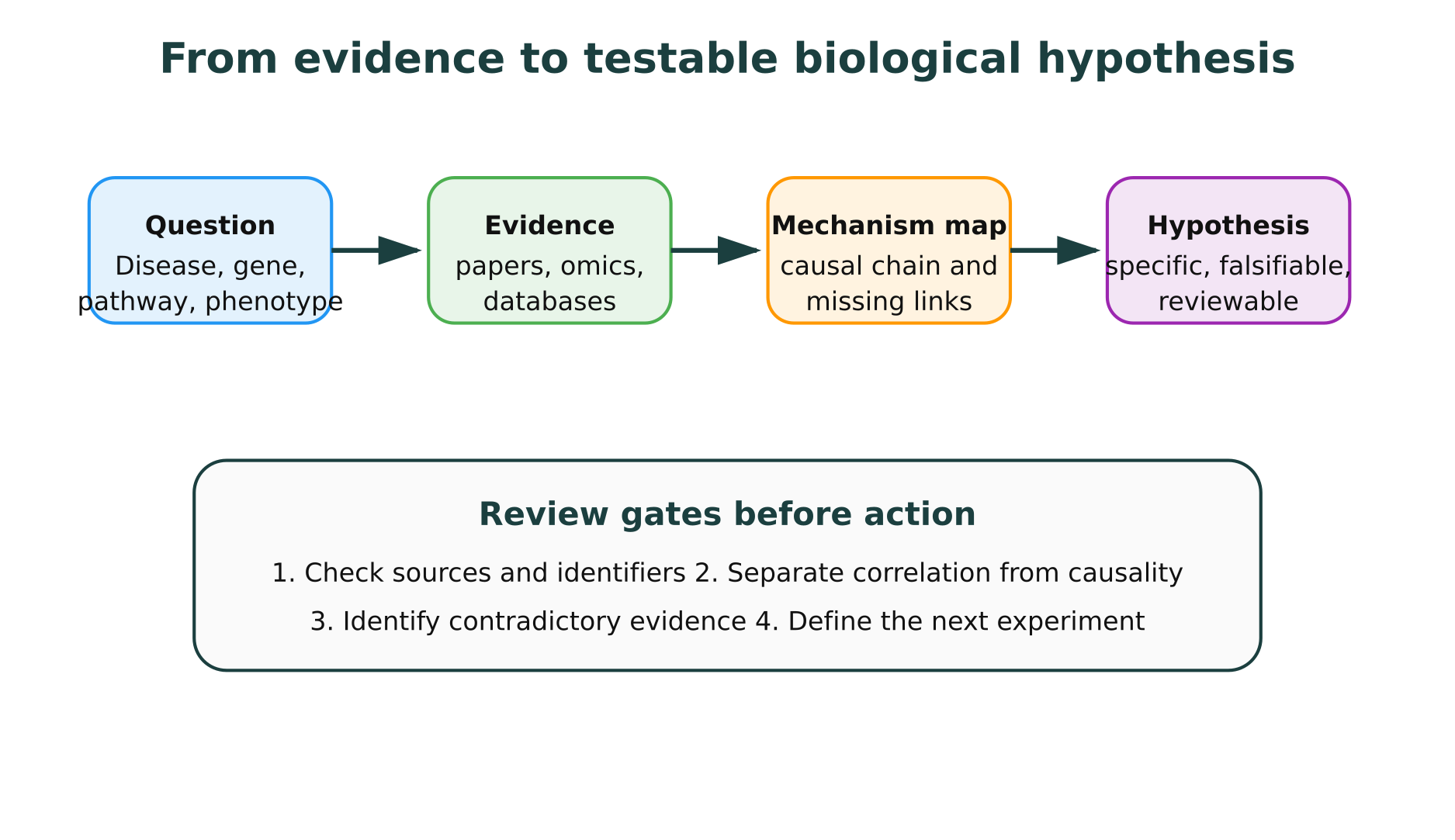 AI hypothesis generation workflow from biological question to reviewable hypothesis
