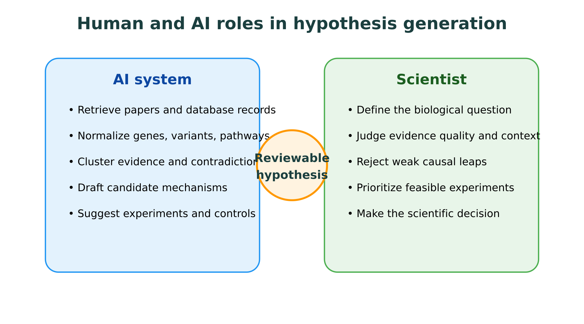 AI and scientist roles in reviewable hypothesis generation