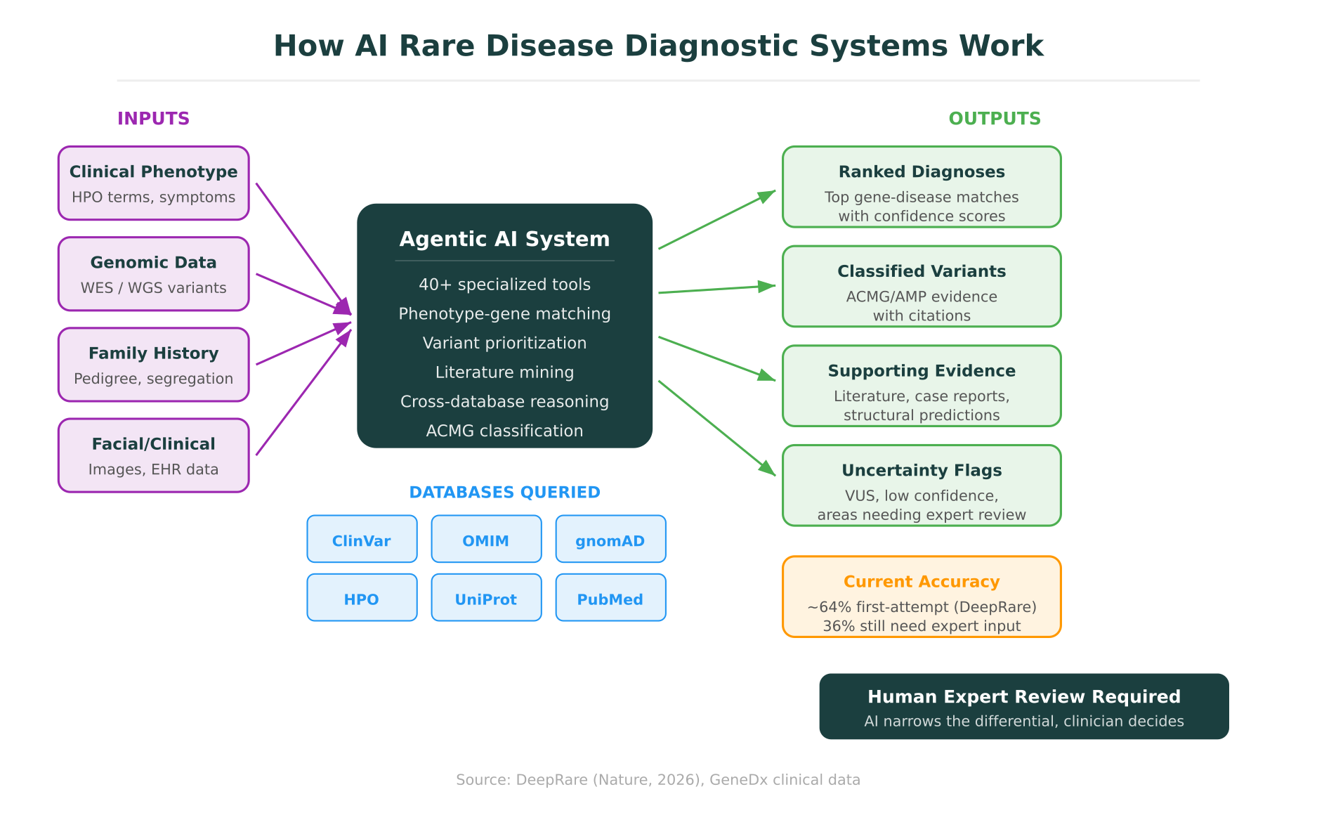 How an agentic AI rare disease diagnostic system processes inputs (phenotype, genomic data, family history) through specialized tools and databases to produce ranked diagnoses, classified variants, and uncertainty flags
