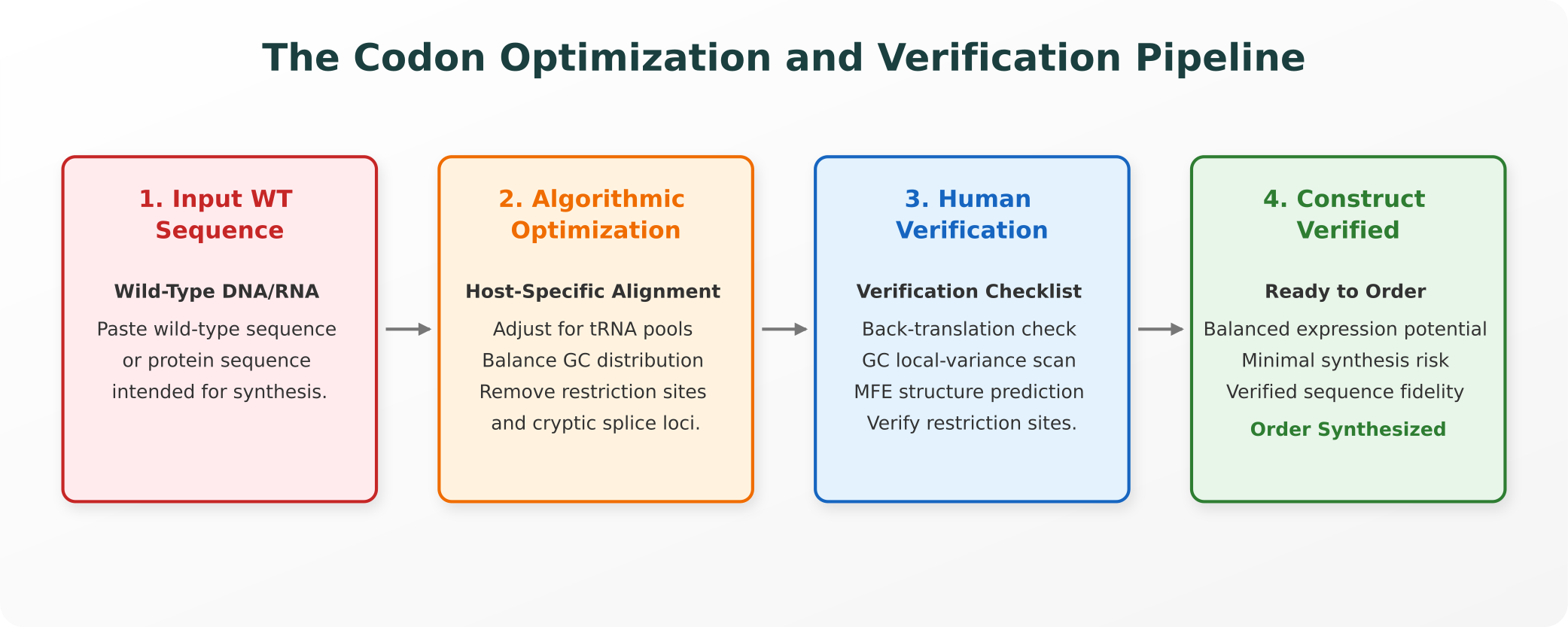The Codon Optimization and Verification Pipeline