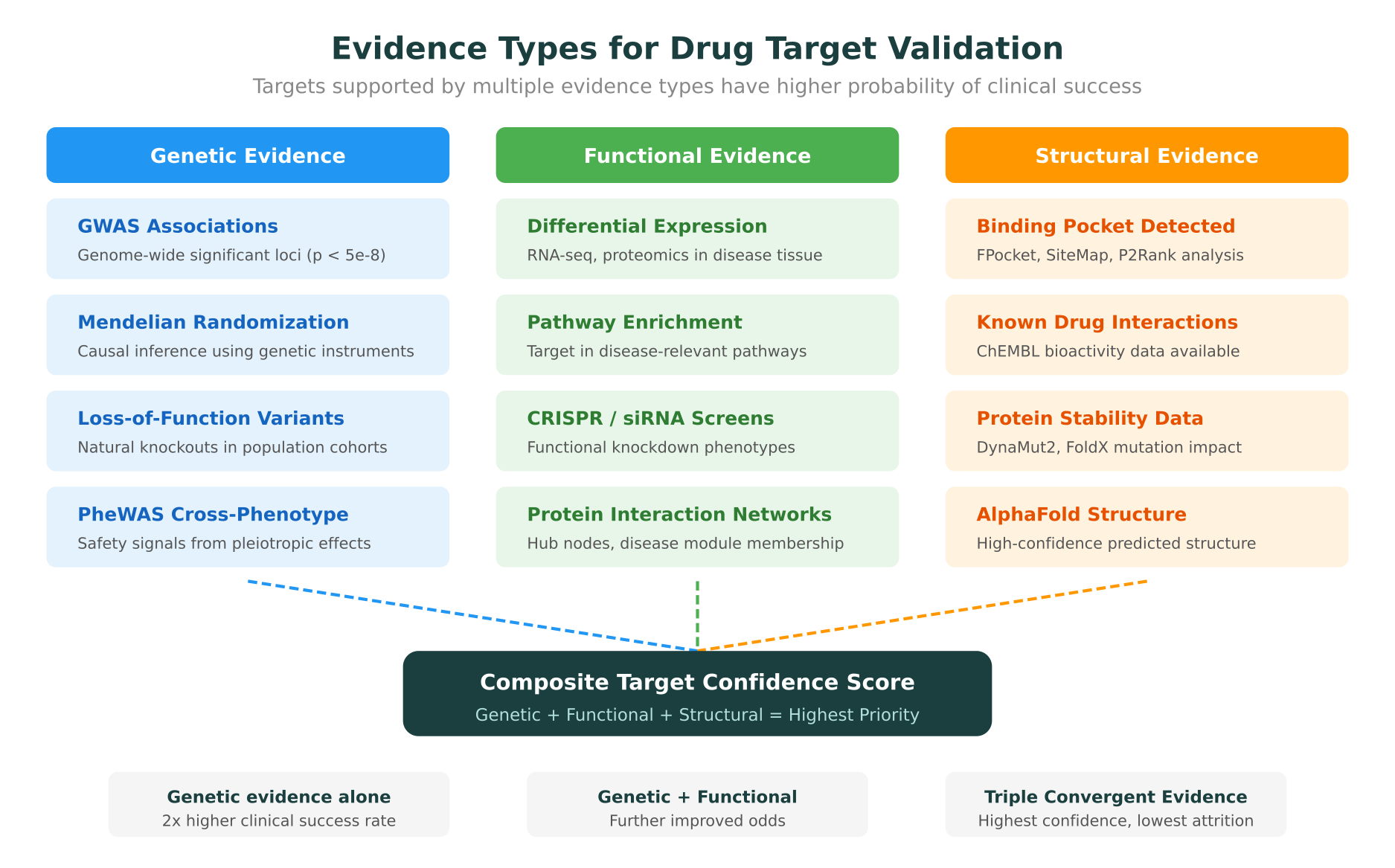 Evidence Types for Drug Target Validation: Genetic, Functional, and Structural evidence converge to produce a composite target confidence score