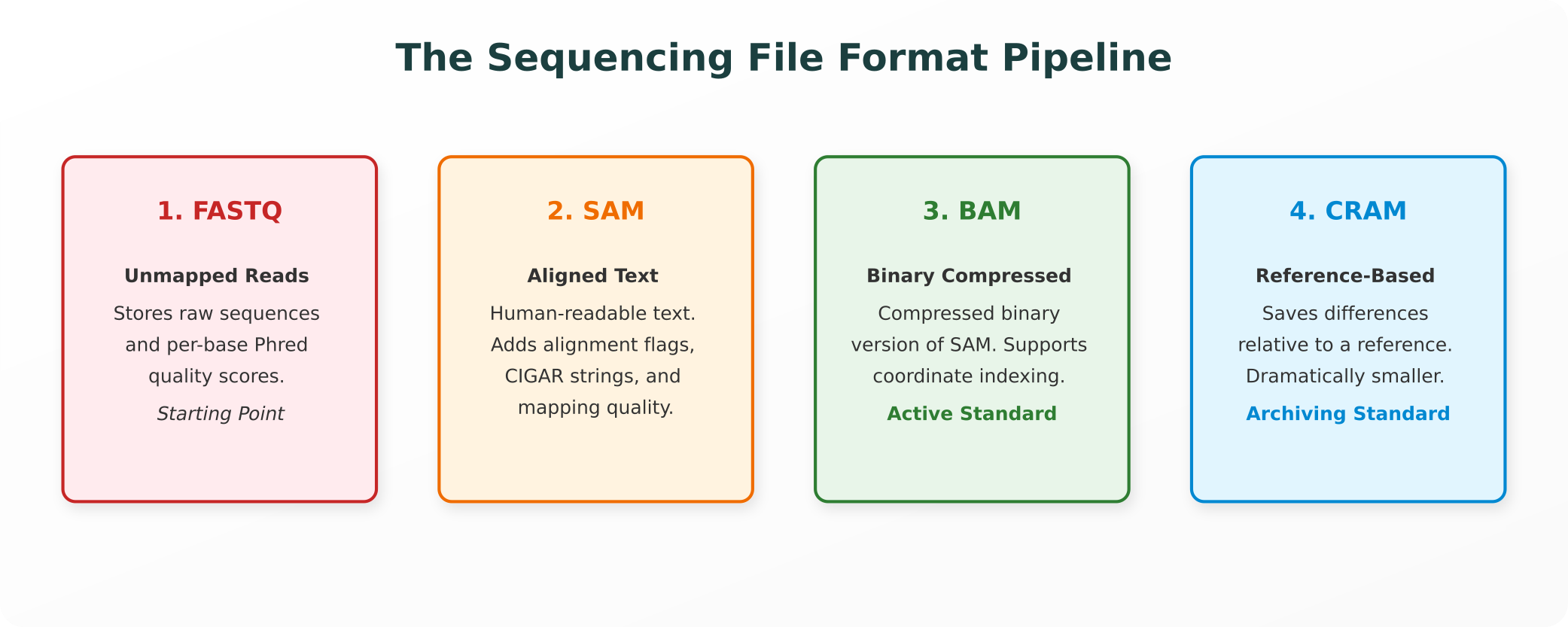 The Sequencing File Format Pipeline