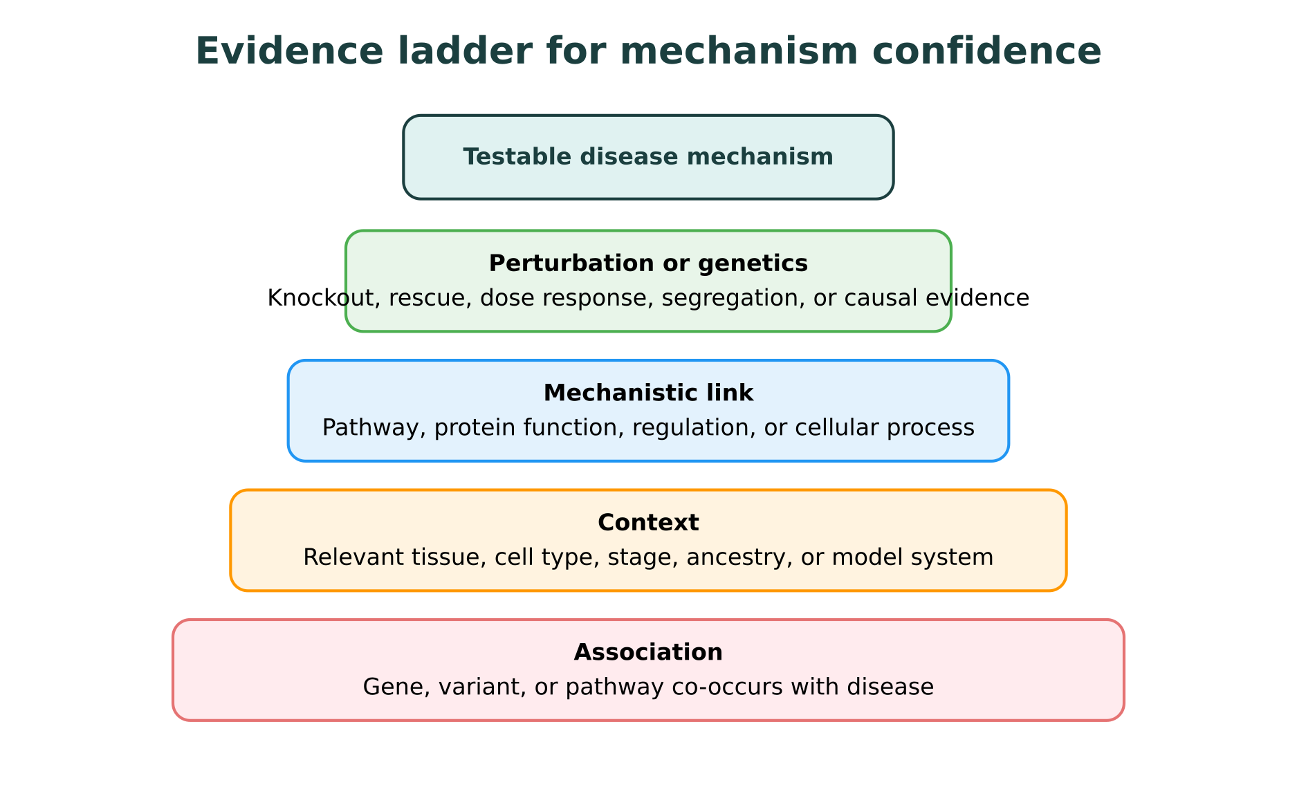 Evidence ladder for moving from association to testable disease mechanism