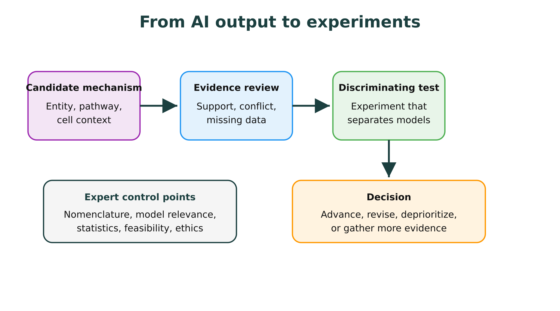 AI-assisted disease mechanism workflow from candidate mechanism to expert review and experiment