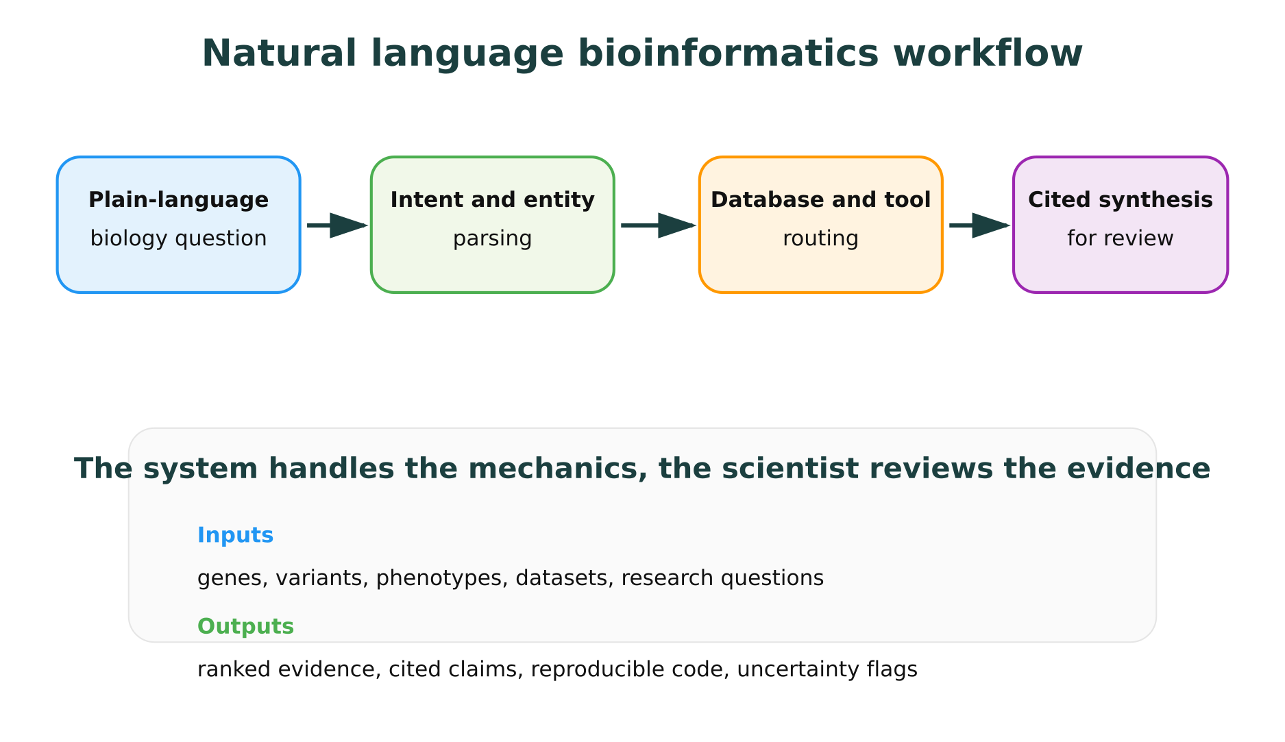 Natural language bioinformatics workflow from plain-language question to cited synthesis
