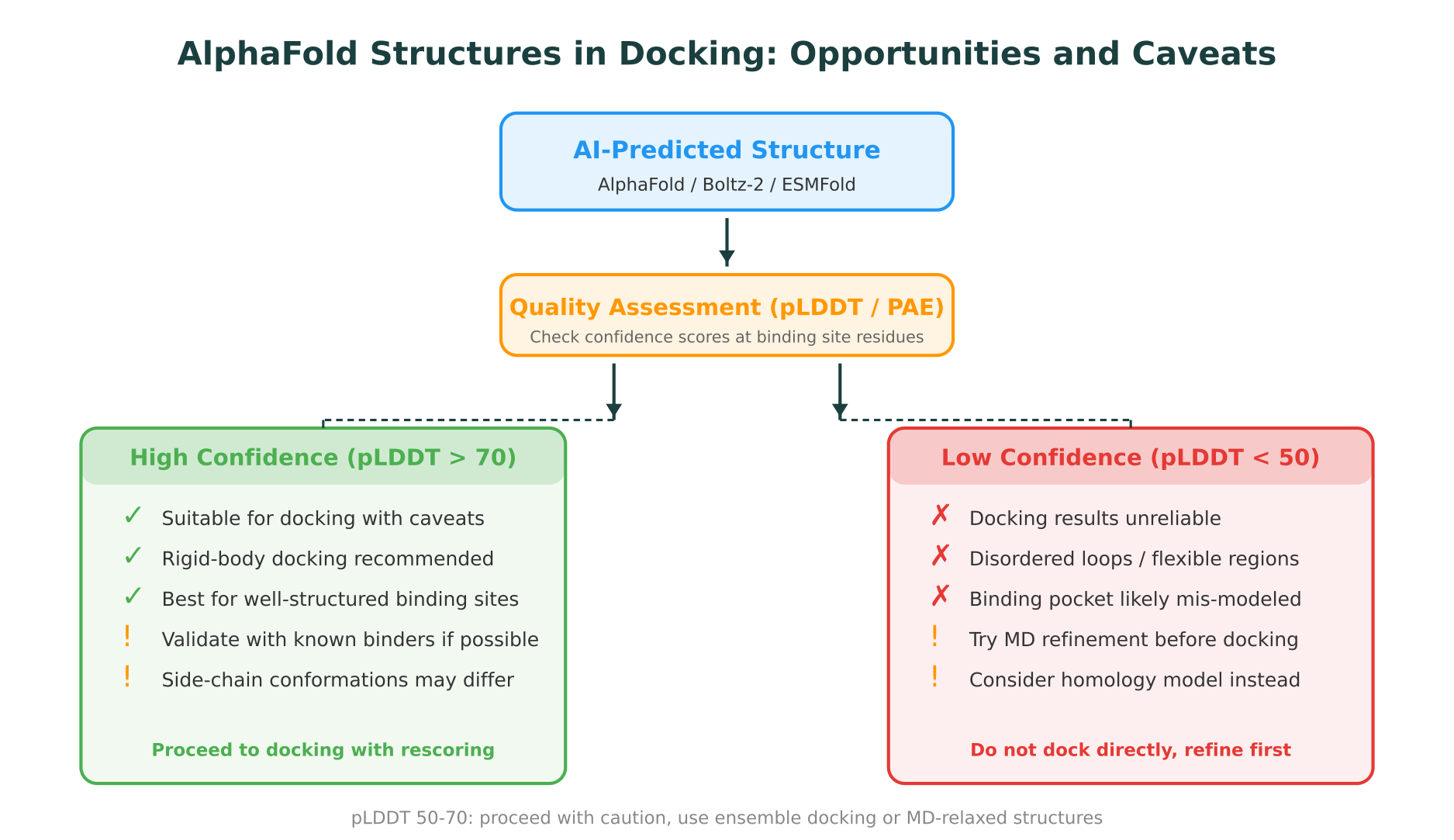 AlphaFold Structures in Docking: Opportunities and Caveats