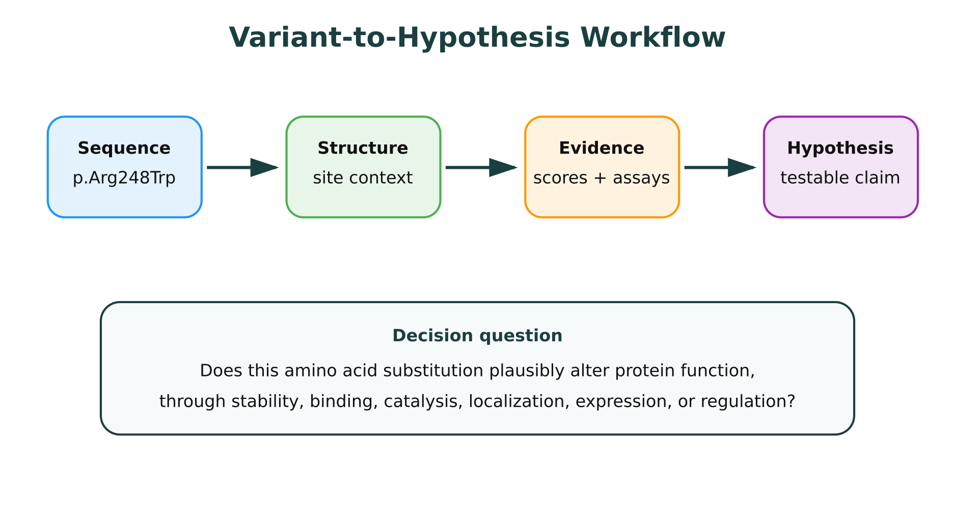 Variant-to-hypothesis workflow for protein mutation effect prediction