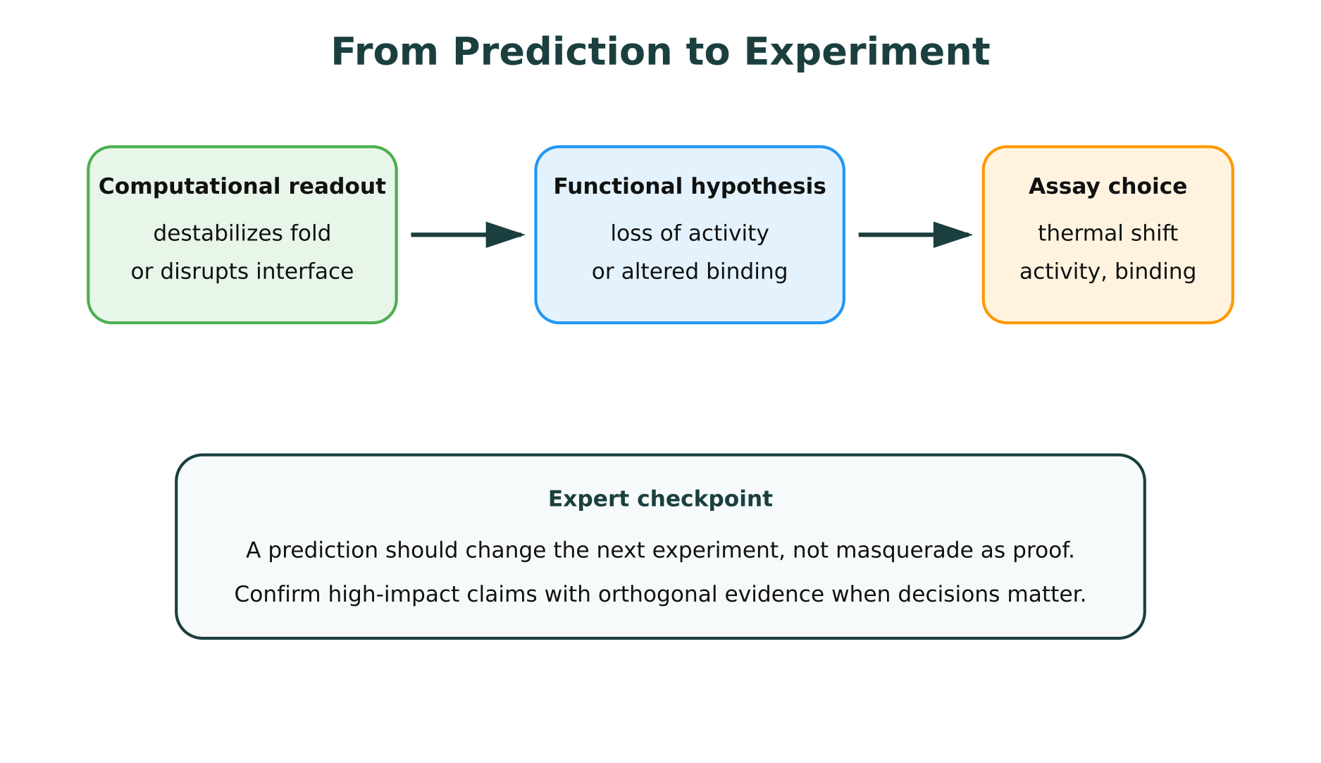 From prediction to experiment workflow