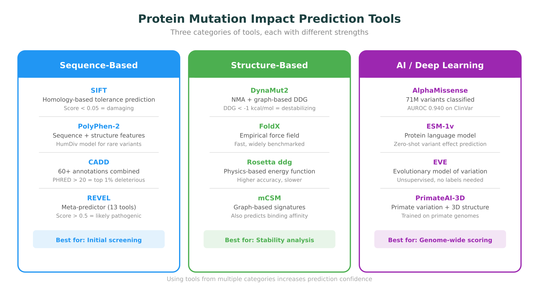 Comparison of key tools for protein mutation impact prediction: sequence-based tools, structure-based tools, and AI-based predictors with their strengths and use cases
