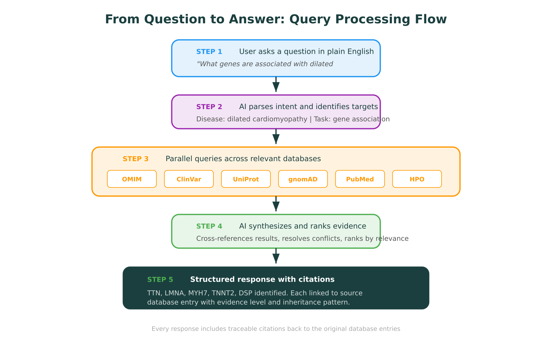 From question to answer: the five-step query processing flow showing how a natural language question gets parsed, routed to relevant databases, synthesized, and returned with citations