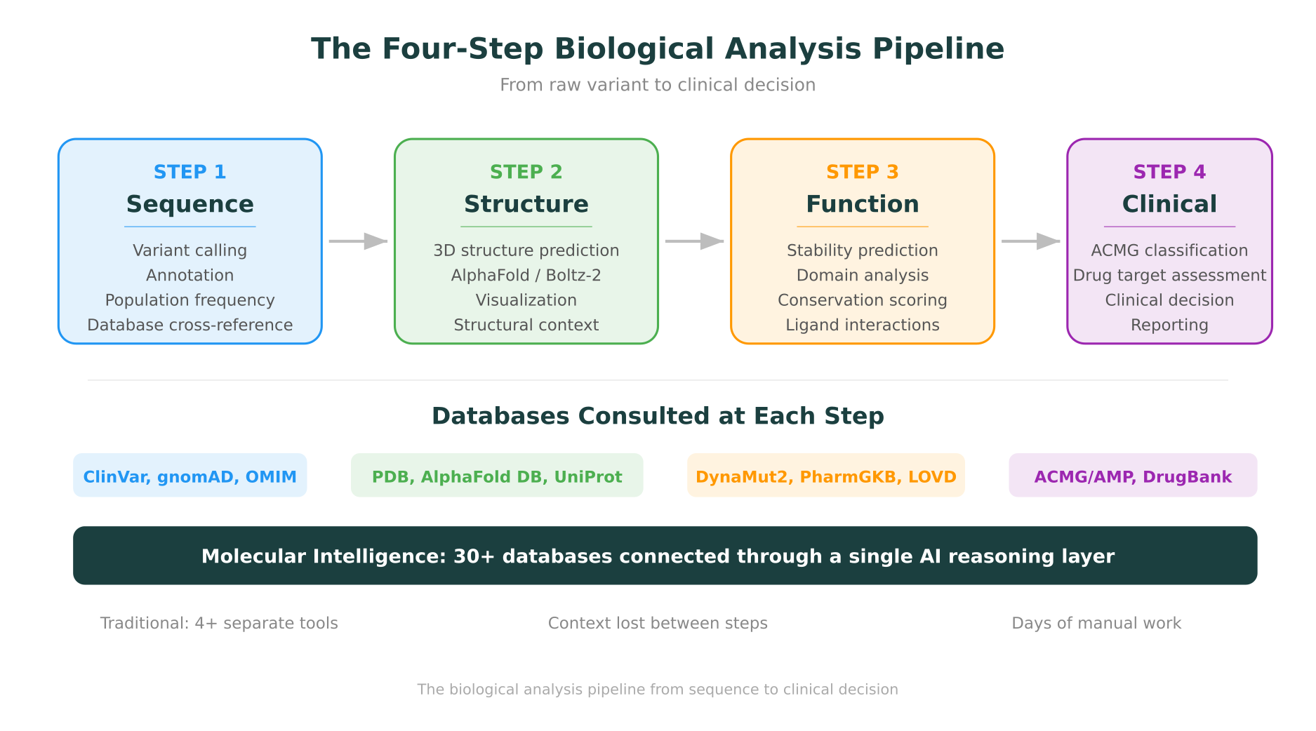 The four-step biological analysis pipeline from sequence to clinical decision
