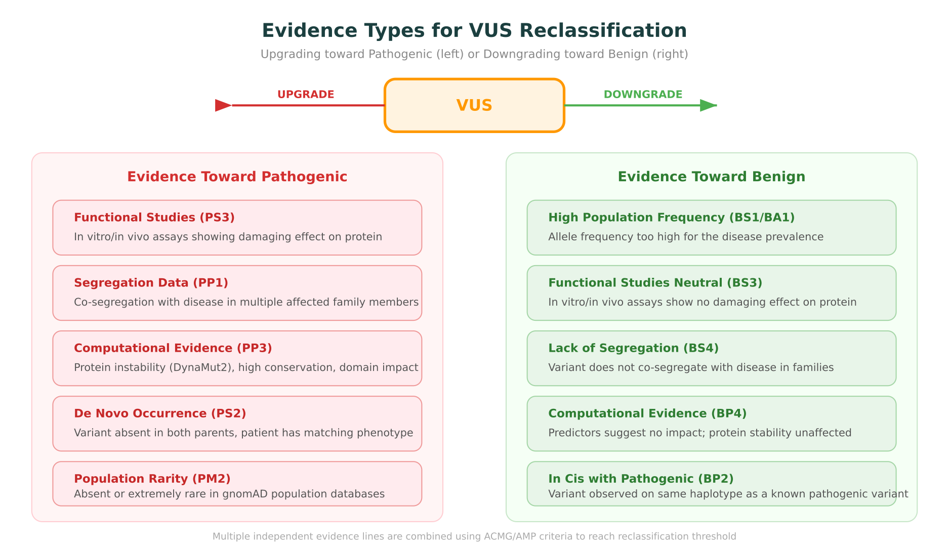 Evidence types that can upgrade or downgrade a VUS, showing the ACMG criteria codes for pathogenic and benign evidence lines