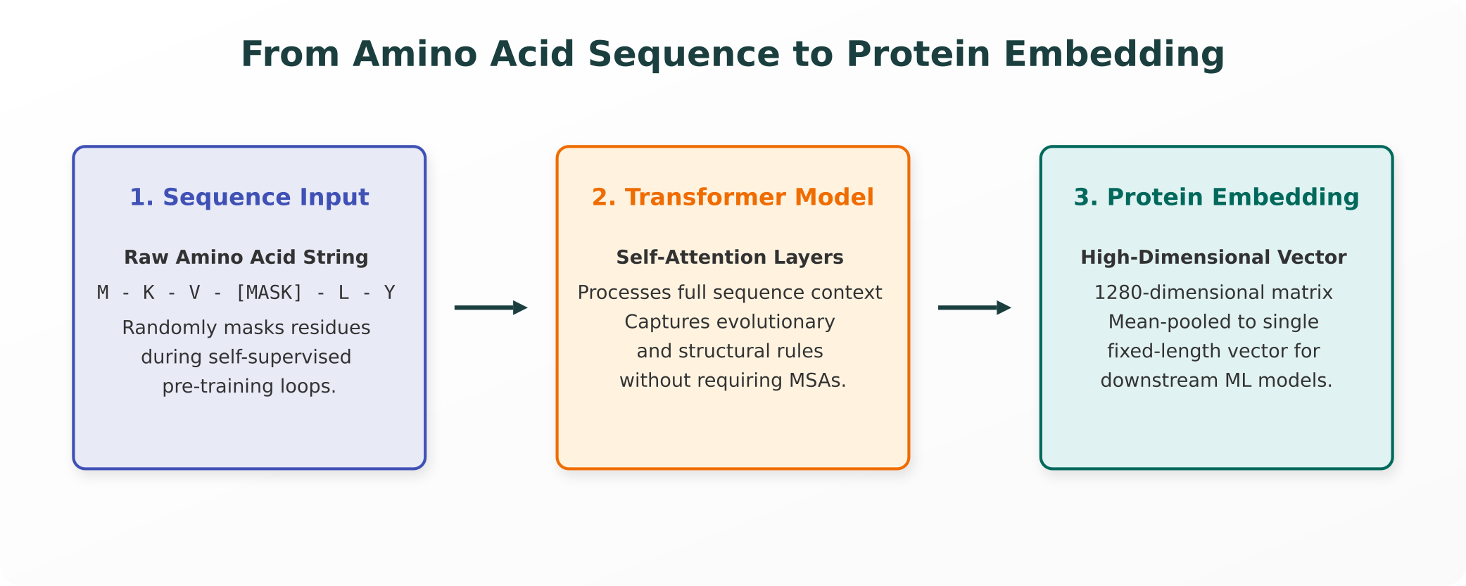From Sequence to Embedding Vector