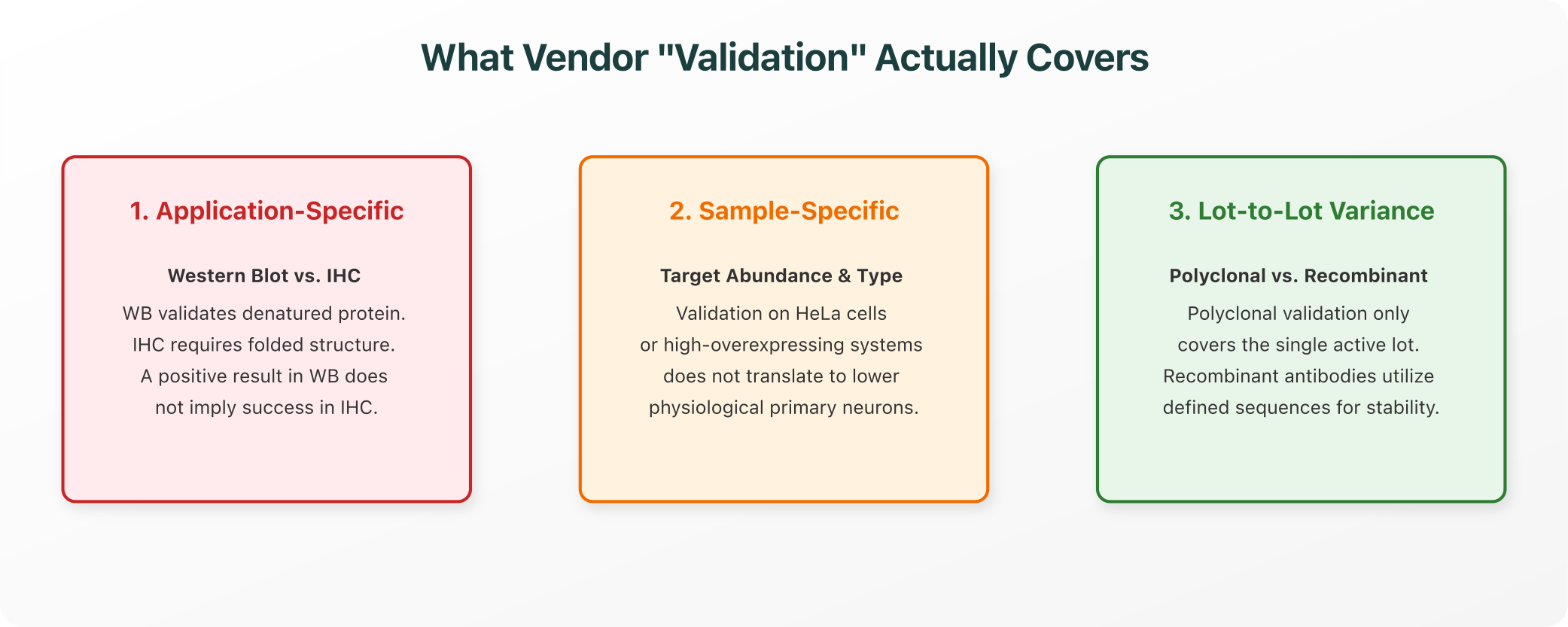 What Vendor "Validation" Actually Covers